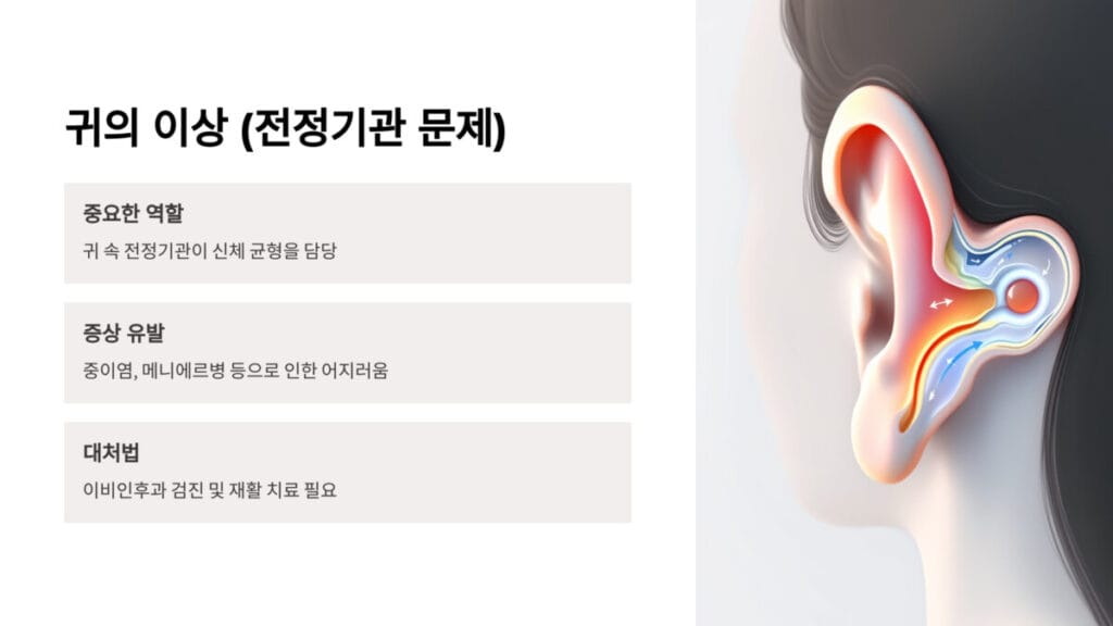 5 귀의 이상 전정기관 문제