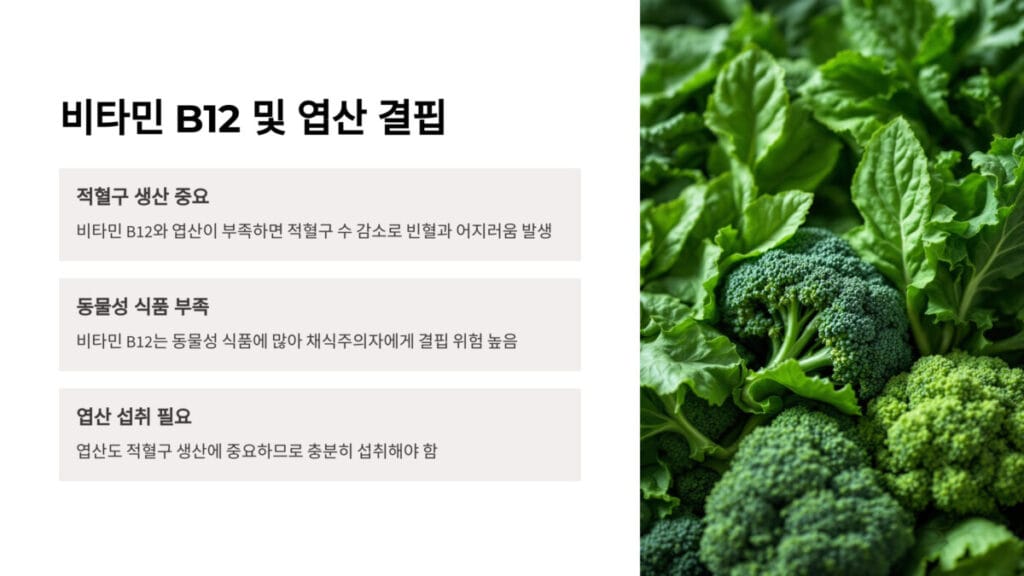 5 비타민 B12 및 엽산 결핍