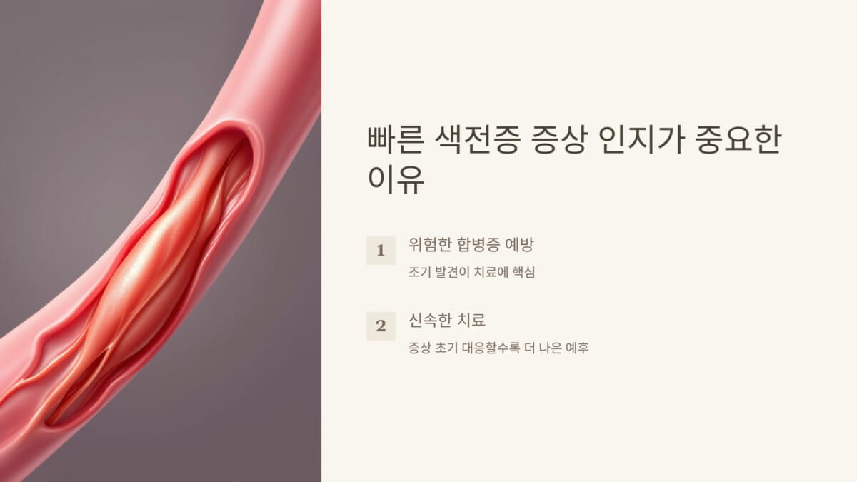 색전증 증상 및 초기 징후: 빠른 인식이 중요한 이유 - 메타건강