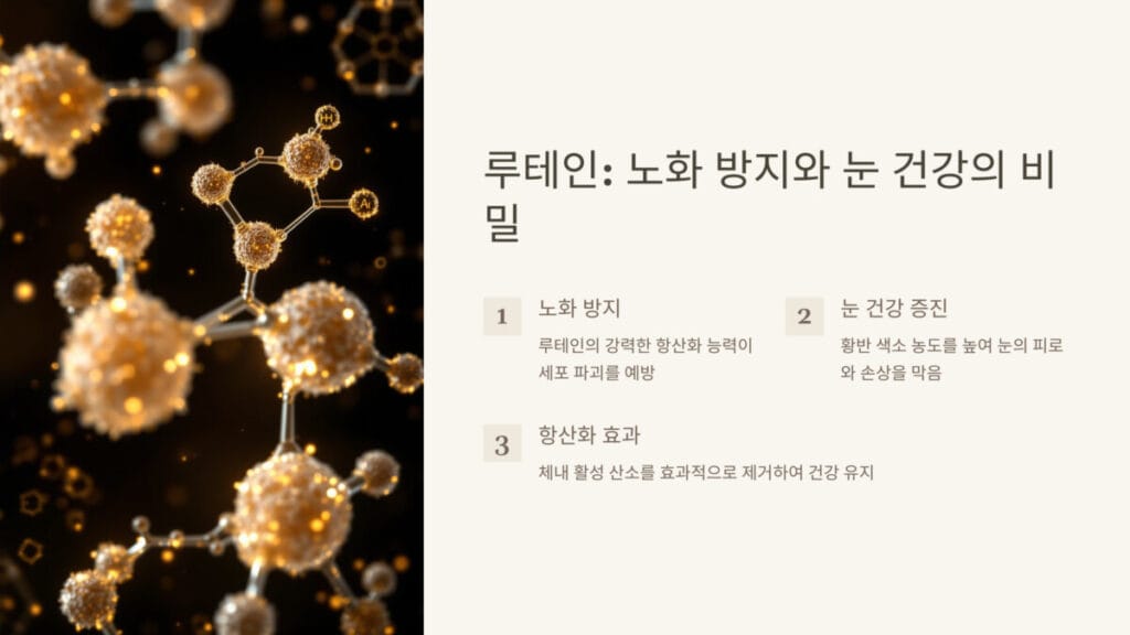 루테인의 건강 효과