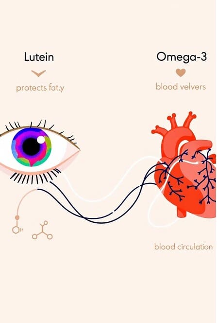 루테인과 오메가3