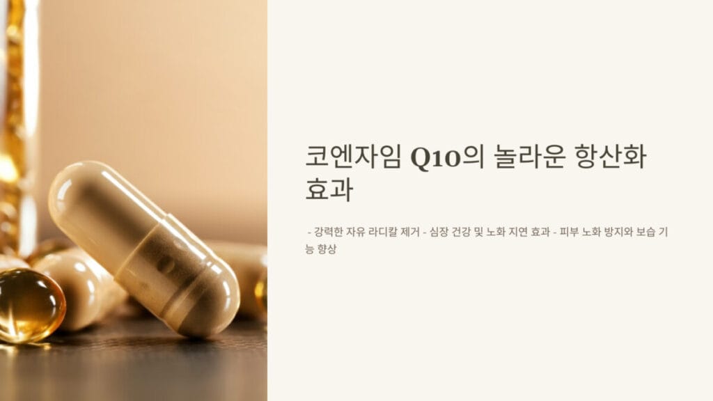 코엔자임 Q10의 놀라운 항산화 효과