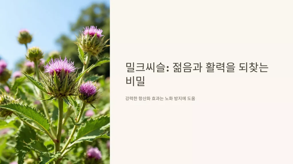 밀크씨슬